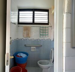 Blk 315 Clementi Meadows (Clementi), HDB 3 Rooms #585082791